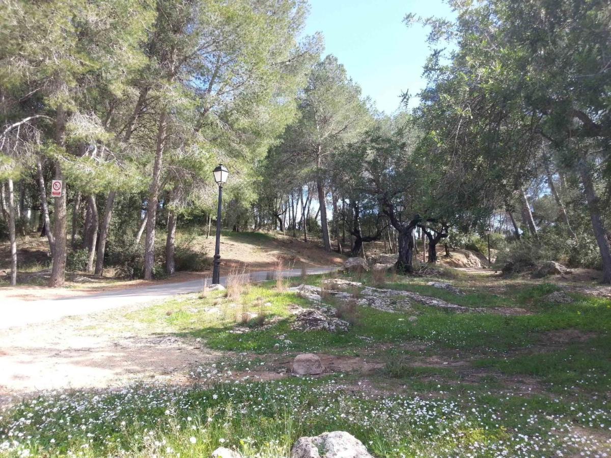 Villa Conchin Casa Junto A Parque Natural Alberic Екстериор снимка